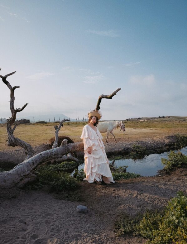 Lucero Dress
